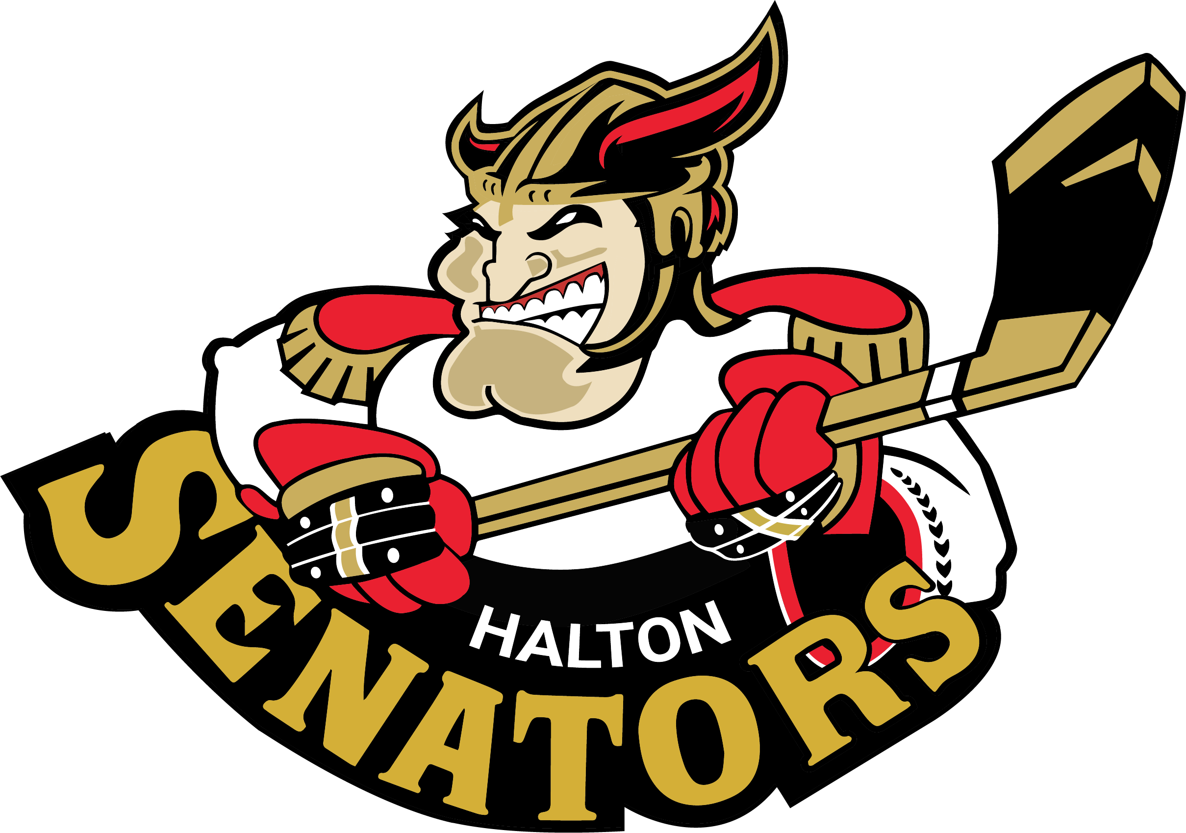 Halton Senators AAA Elite Hockey Burlington U9 U8 U7 halton-senators-aaa-elite-hockey-burlington-u9-u8-u7