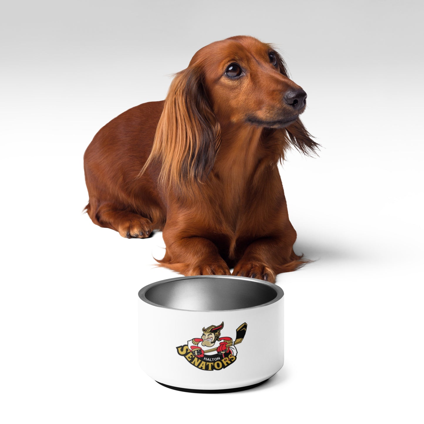 Halton Sens Doggy Bowl