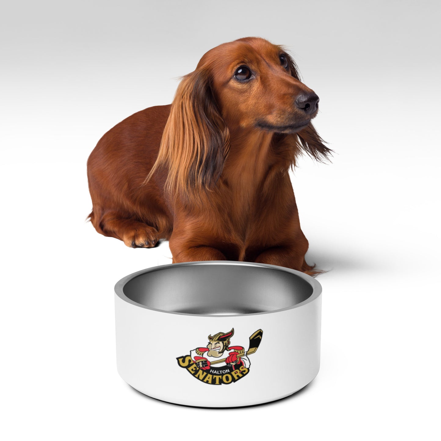 Halton Sens Doggy Bowl