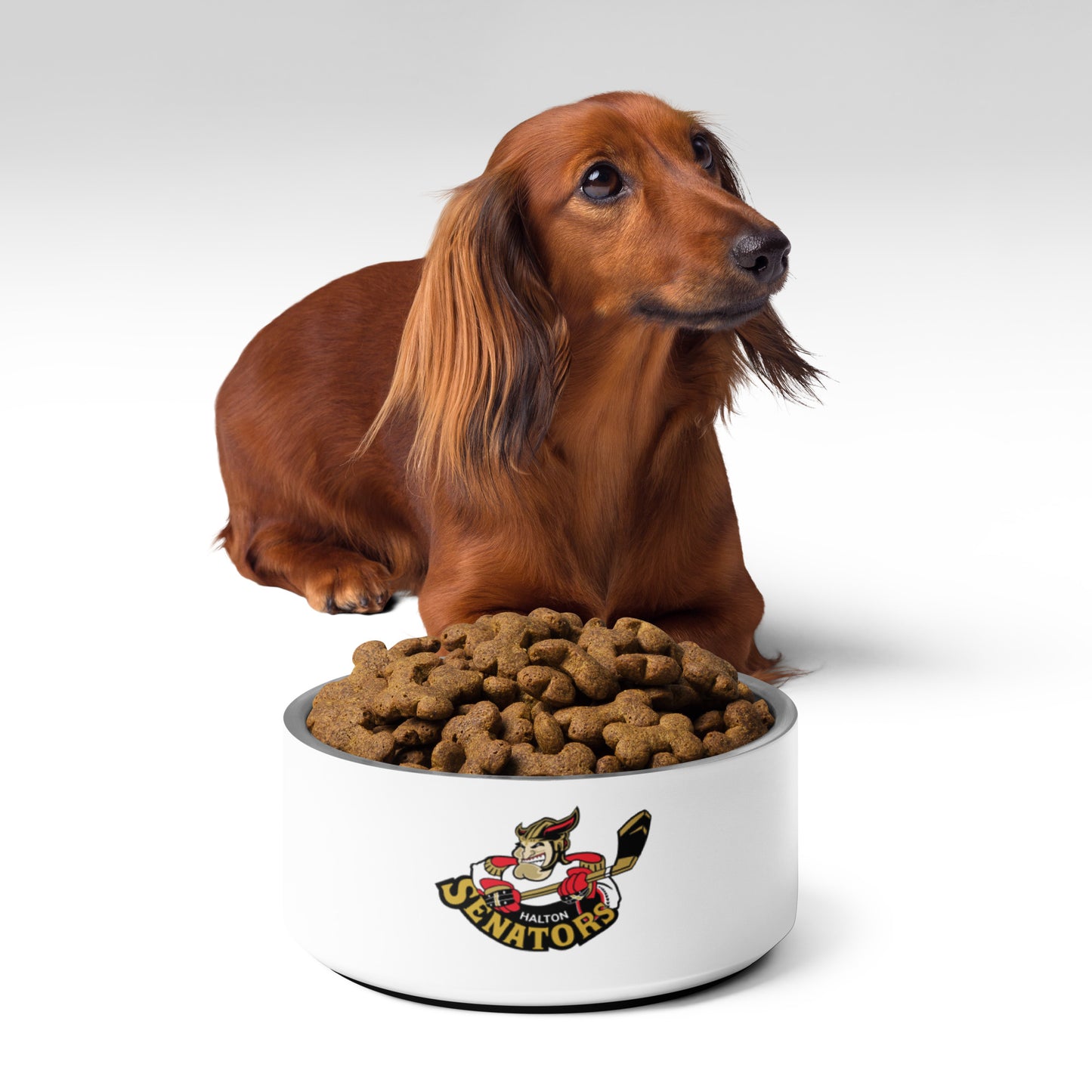 Halton Sens Doggy Bowl